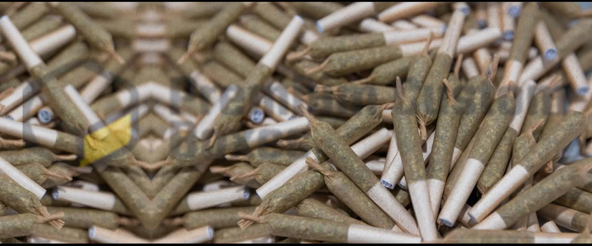 Pre Rolled Joints 