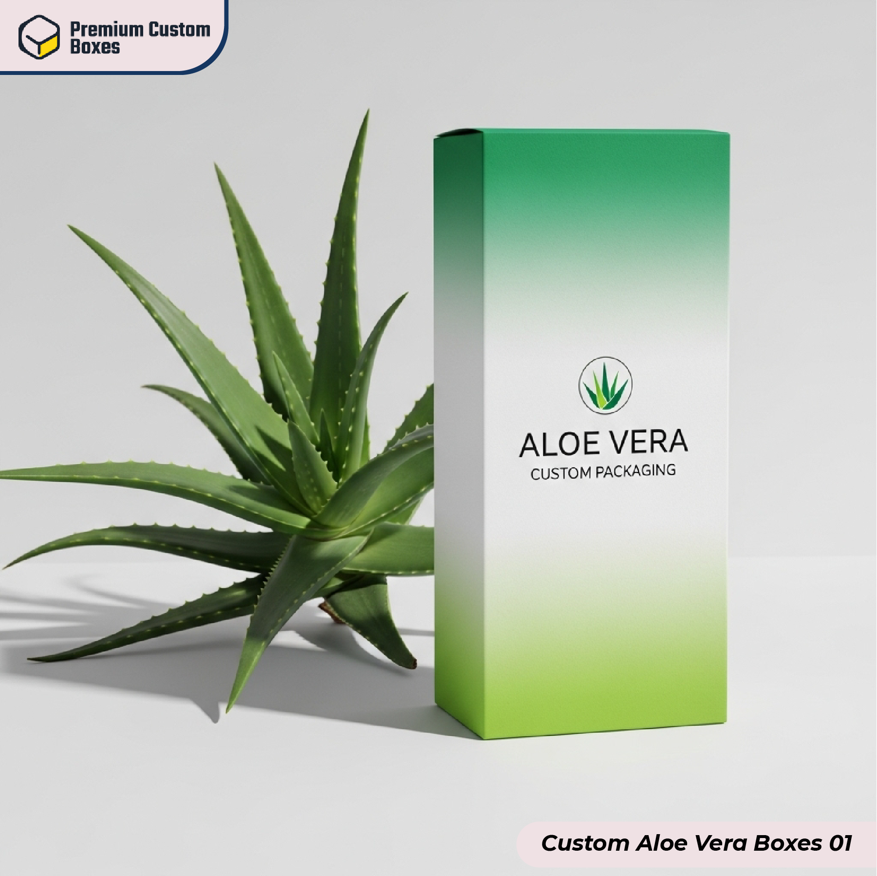 Custom Aloe Vera Boxes (1)