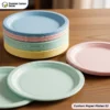 Custom printed Paper Plates(3)
